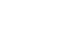 Adept Icarus